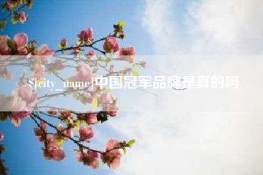 石嘴山中国冠军品牌是真的吗