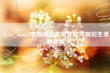 石嘴山中国消防救援学院河南招生录取分数