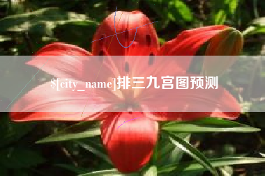 石嘴山排三九宫图预测
