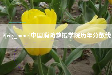 石嘴山中国消防救援学院历年分数线