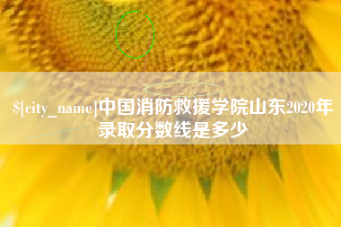 石嘴山中国消防救援学院山东2020年录取分数线是多少