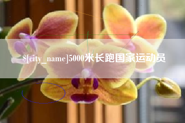 石嘴山5000米长跑国家运动员