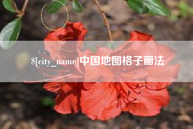 石嘴山中国地图格子画法