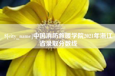 石嘴山中国消防救援学院2021年浙江省录取分数线