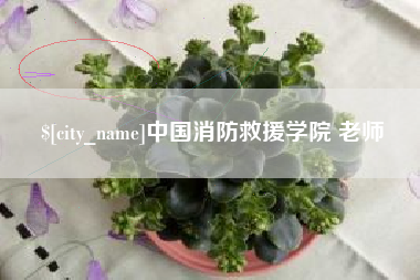 石嘴山中国消防救援学院 老师