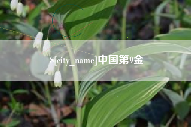 石嘴山中国第9金