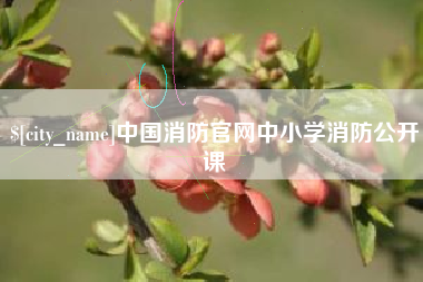 石嘴山中国消防官网中小学消防公开课