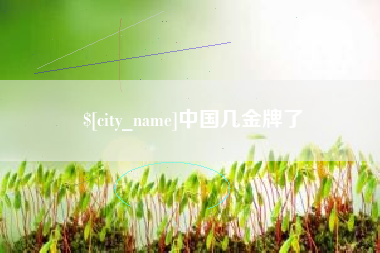 石嘴山中国几金牌了