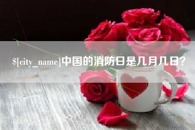 石嘴山中国的消防日是几月几日？