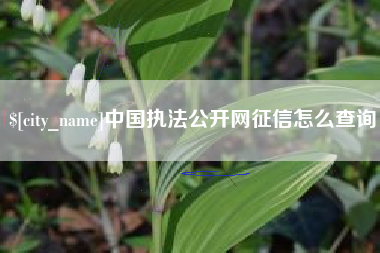 石嘴山中国执法公开网征信怎么查询
