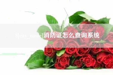 石嘴山消防证怎么查询系统