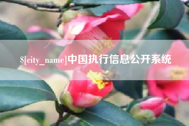 石嘴山中国执行信息公开系统