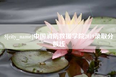 石嘴山中国消防救援学院2019录取分数线