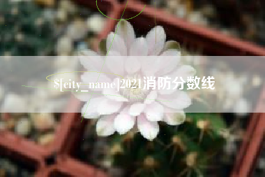 石嘴山2021消防分数线