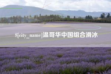 石嘴山温哥华中国组合滑冰