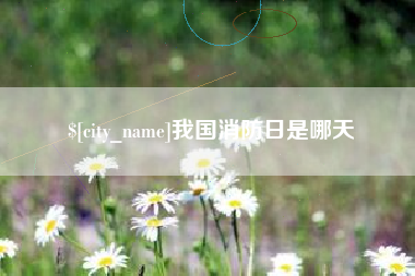 石嘴山我国消防日是哪天