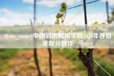 石嘴山中国消防救援学院2020年各省录取分数线