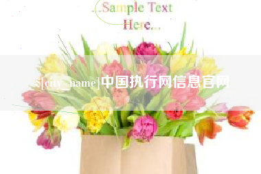 石嘴山中国执行网信息官网