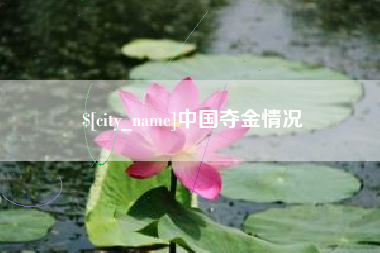 石嘴山中国夺金情况
