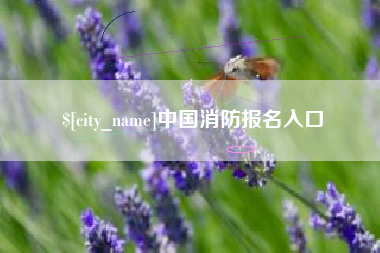 石嘴山中国消防报名入口