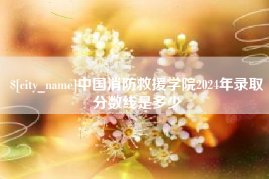石嘴山中国消防救援学院2024年录取分数线是多少