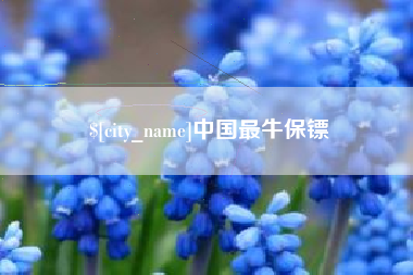 石嘴山中国最牛保镖