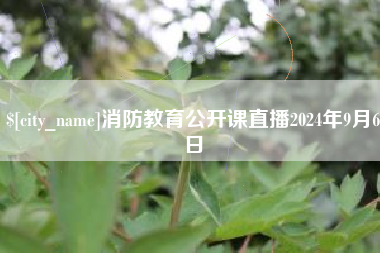石嘴山消防教育公开课直播2024年9月6日