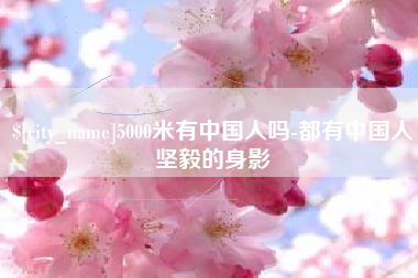 石嘴山5000米有中国人吗-都有中国人坚毅的身影