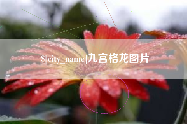 石嘴山九宫格龙图片