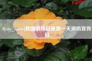 石嘴山我国消防日是哪一天消防宣传日
