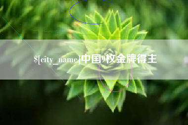 石嘴山中国9枚金牌得主