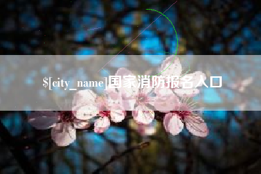 石嘴山国家消防报名入口