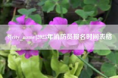 石嘴山2025年消防员报名时间表格
