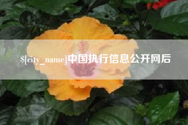 石嘴山中国执行信息公开网后