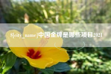 石嘴山中国金牌是哪些项目2021