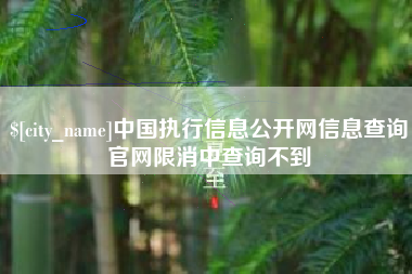 石嘴山中国执行信息公开网信息查询官网限消中查询不到