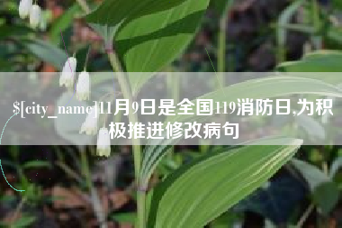 石嘴山11月9日是全国119消防日,为积极推进修改病句