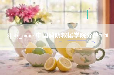 石嘴山中国消防救援学院分数2020