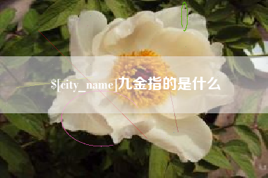 石嘴山九金指的是什么