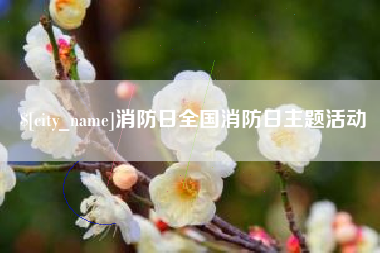 石嘴山消防日全国消防日主题活动