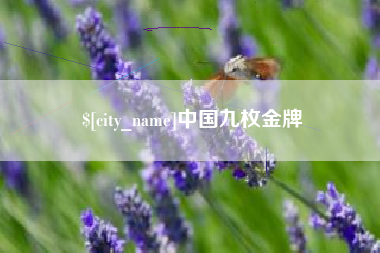 石嘴山中国九枚金牌