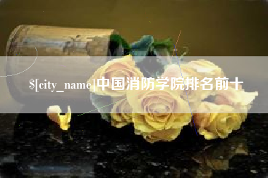 石嘴山中国消防学院排名前十