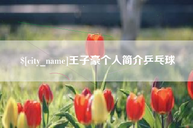石嘴山王子豪个人简介乒乓球