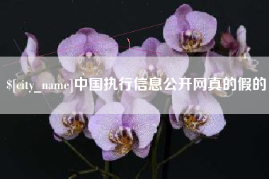 石嘴山中国执行信息公开网真的假的