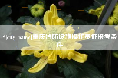 石嘴山重庆消防设施操作员证报考条件