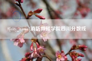 石嘴山消防救援学院四川分数线