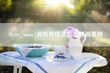 石嘴山消防资格证怎么查询系统
