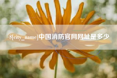 石嘴山中国消防官网网址是多少