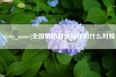 石嘴山全国消防日是每年的什么时候