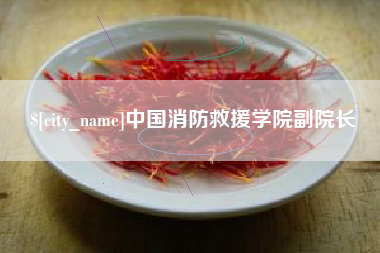 石嘴山中国消防救援学院副院长